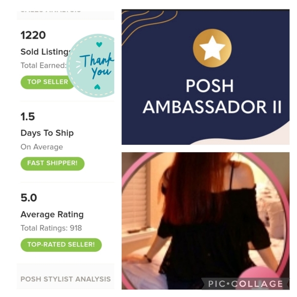 LoveShackFancy Target NWOT Elise Smocked Tiered - Picture 12 of 12